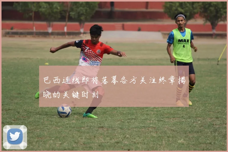 巴西连线即将落幕各方关注终章揭晓的关键时刻