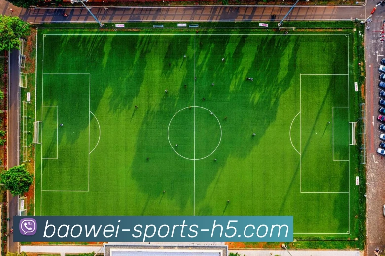 多媒体互动体验